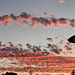 Sunset From a Freo Verandah