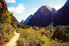 Zion National Park