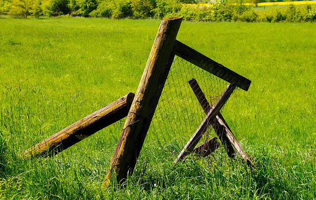 A Fence for Friday