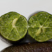 Citron caviar- Microcitrus australasica