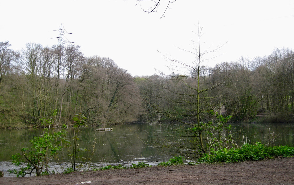 Spring Pool at Himley Estate