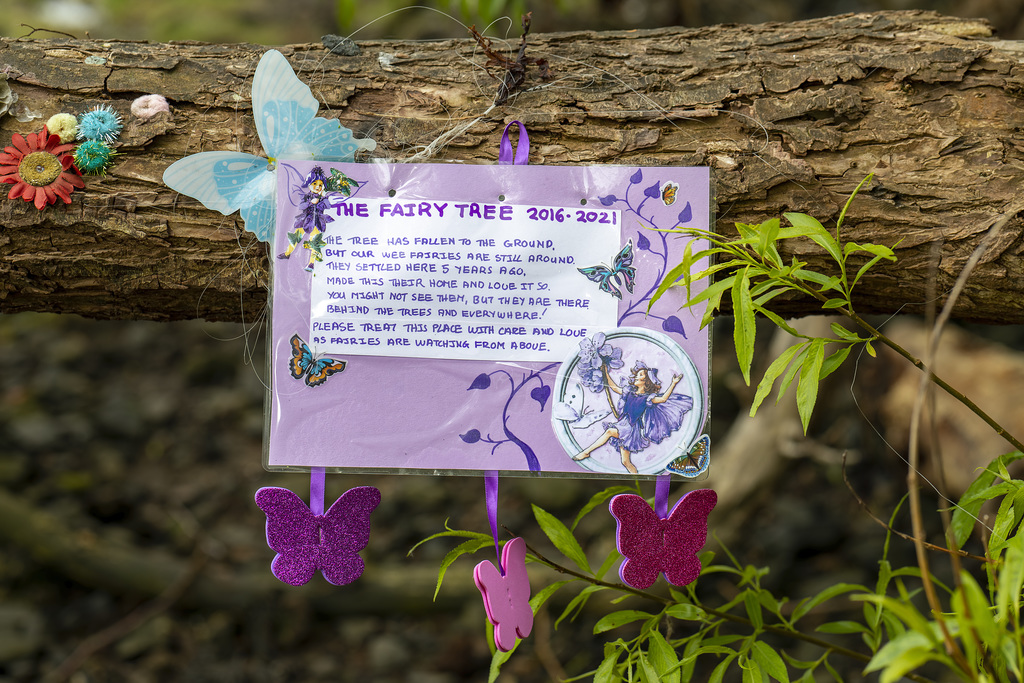 The Fairy Tree 2016 - 2021