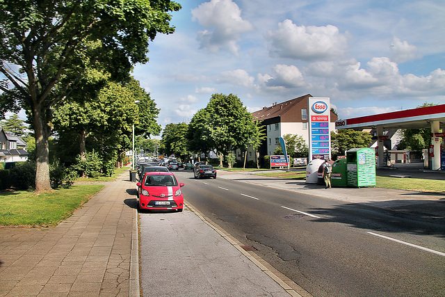 Hatzper Straße (Essen-Haarzopf) / 6.07.2023