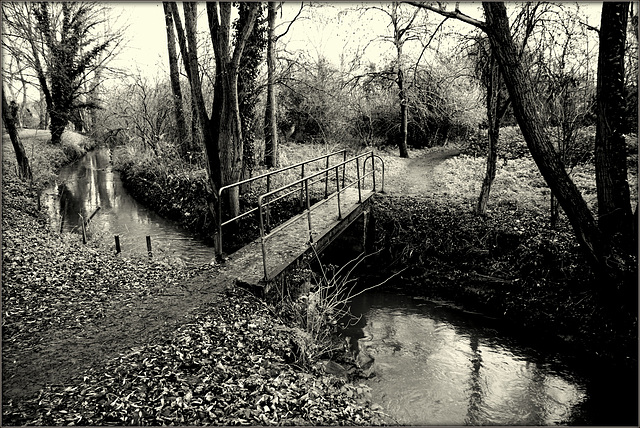 Le petit pont