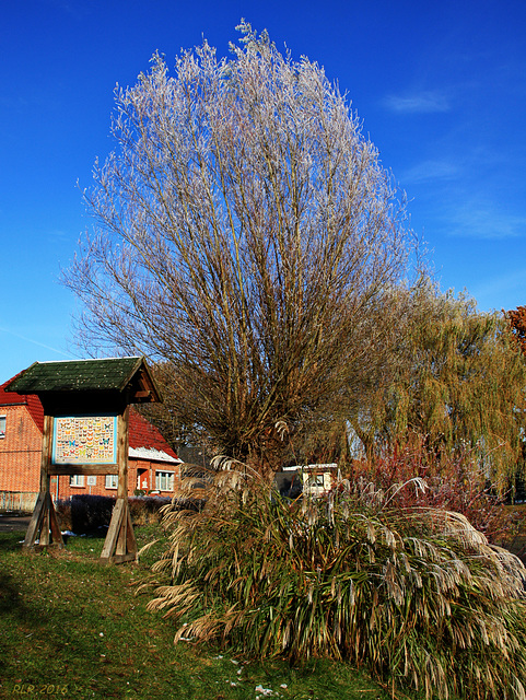 Rastow, Winter am Teich