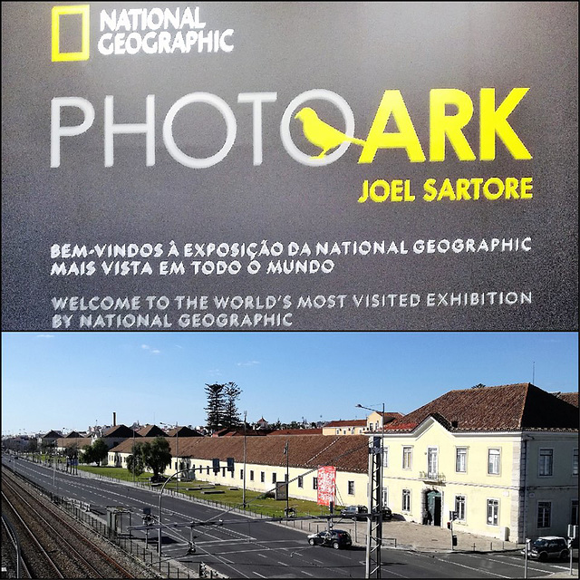 PHOTOARK Project