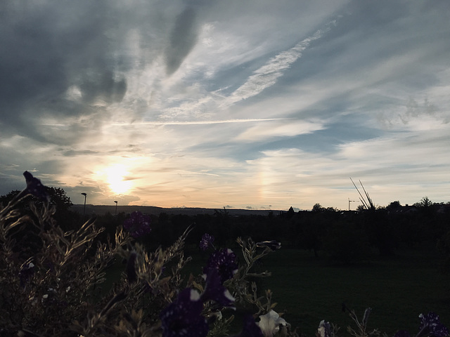 Blick vom Balkon