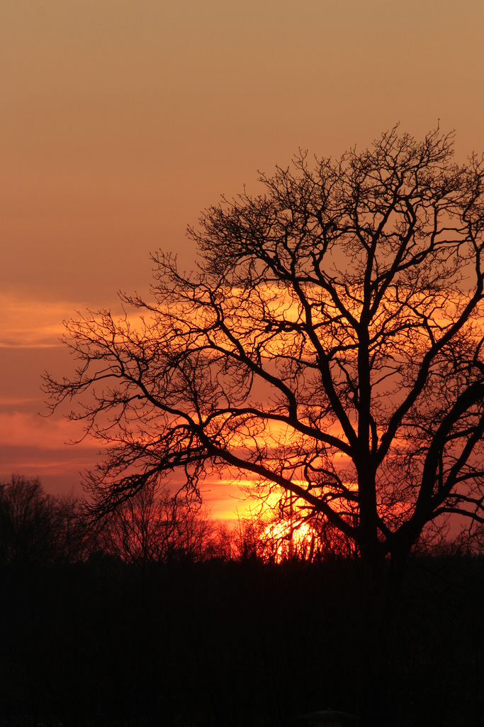 Another nice sunset