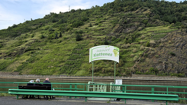 Mosel-Weinberg-Blick