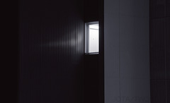 la-ventana-indiscreta