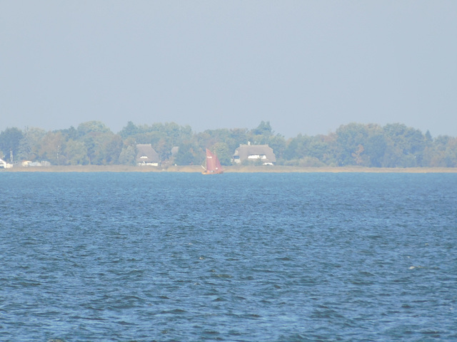 Zeesenboot vor Born a. Darß