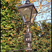 lamp in autumn