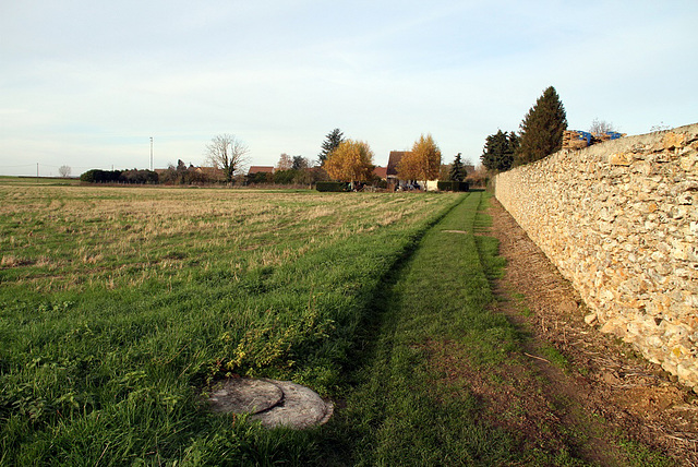Sentier de Forest - 6126