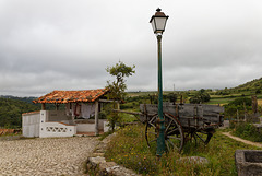 Mata Pequena, Portugal