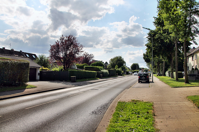 Hatzper Straße (Essen-Haarzopf) / 6.07.2023