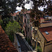 Sanremo - La Pigna (The old town)