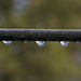 Frozen Drops