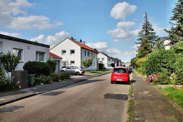 Harscheidweg (Essen-Haarzopf) / 6.07.2023