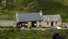20190609 4859CPw [R~GB] Zum Bootsanleger nach Skomer, Deer Park, Pembrokeshire, Wales