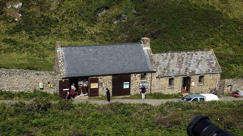 20190609 4859CPw [R~GB] Zum Bootsanleger nach Skomer, Deer Park, Pembrokeshire, Wales