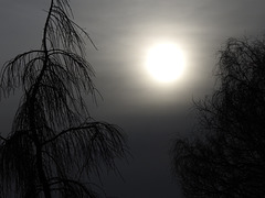 March sunset in low cloud
