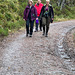 Descent from the lookout