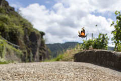 216 von 365 216 von 365