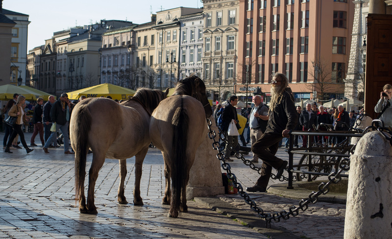 Poland, Krakow Rynek Główny  (#2434)