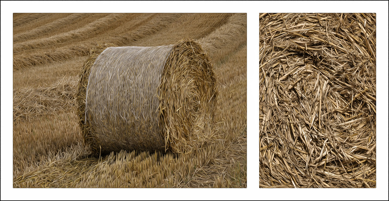 In The Fields ...