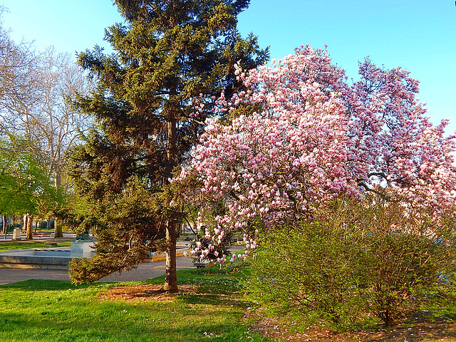 Szeged, Széchenyi tér