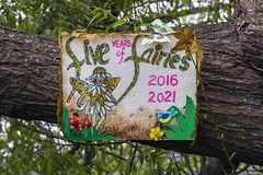 Five Years of Fairies 2016 - 2021