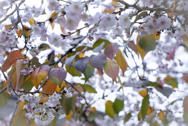 318 von 365 318 von 365