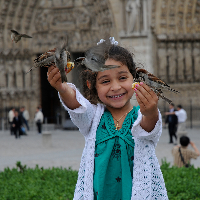 Place notre dame