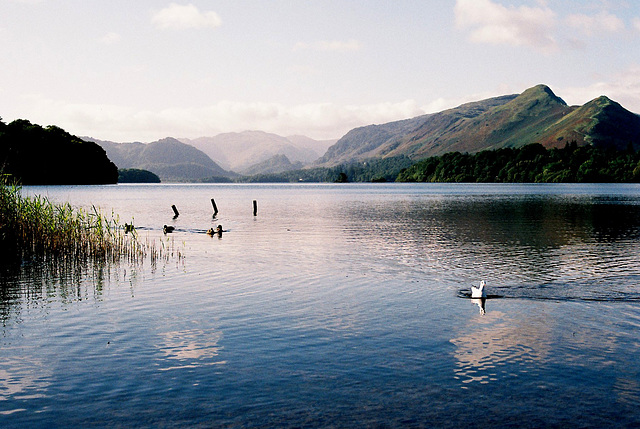 Derwent Water morning