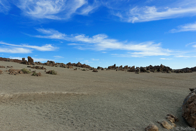 an der TF-21 - im Nationalpark El Teide (© Buelipix)