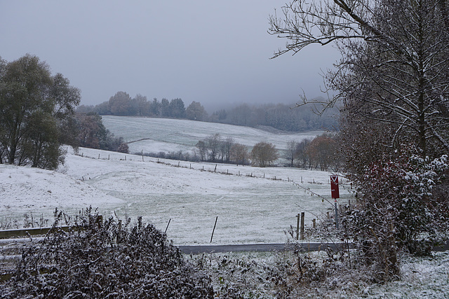 Blick zum Krücker