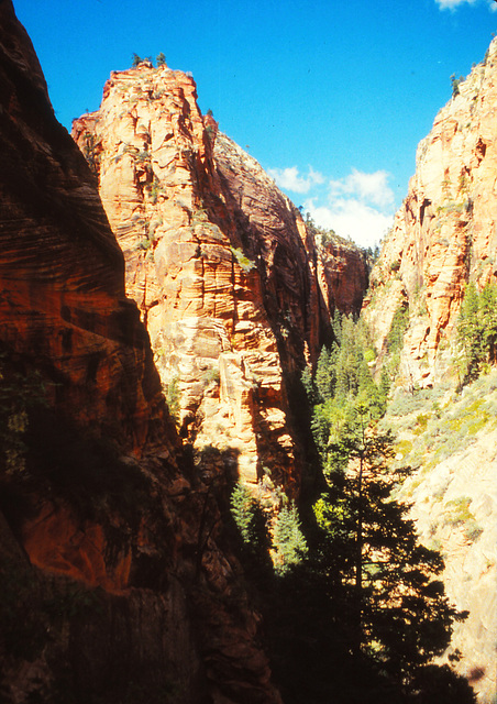 Zion National Park