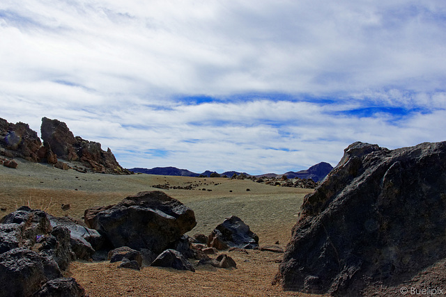 an der TF-21 - im Nationalpark El Teide (© Buelipix)