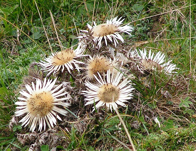 Hike Hoher Kasten, Staubern, Weissbad