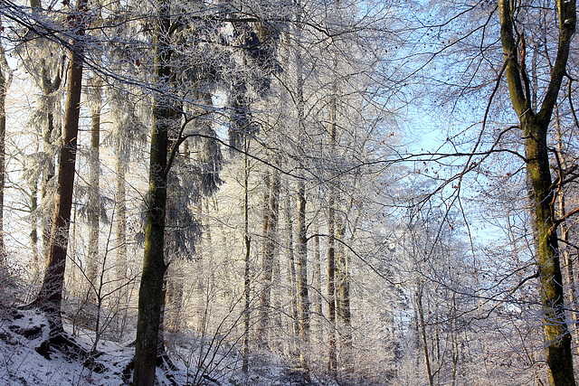 Allen ein glückliches Neues Jahr, Happy New Year, une excellente nouvelle année, próspero Año Nuevo, een gelukkig Nieuwjaar, felice anno nuovo