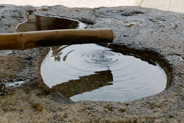 L'art de faire des ronds dans l'eau