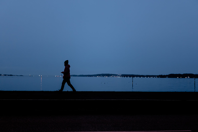 Evening walk (02.02.2023)