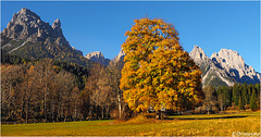 Ai piedi delle Dolomiti.