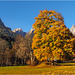 Ai piedi delle Dolomiti.