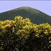 Lanzarote
