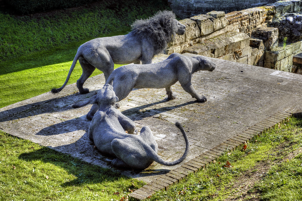 Wire Lions on Guard – Tower of London, London, England