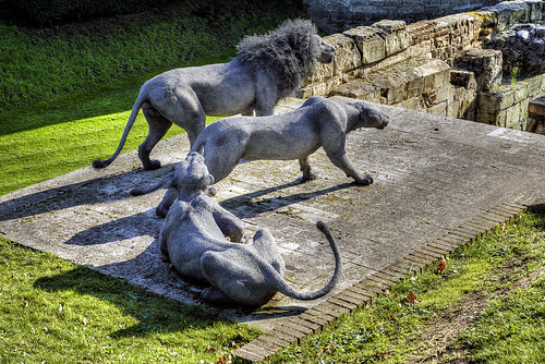 Wire Lions on Guard – Tower of London, London, England