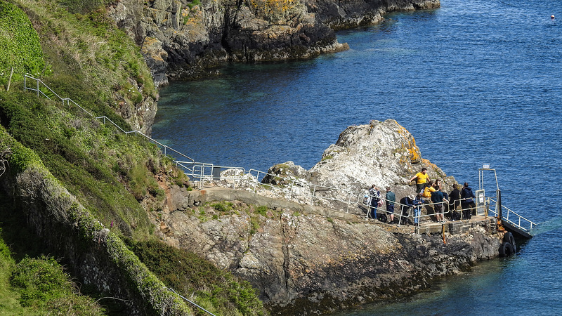 20190609 4861CPw [R~GB] Bootsanleger > Skomer, Deer Park, Pembrokeshire, Wales