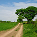 Path towards the Colton Hills