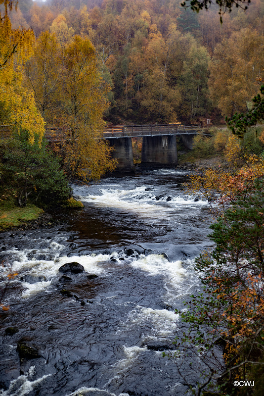 The River Affric